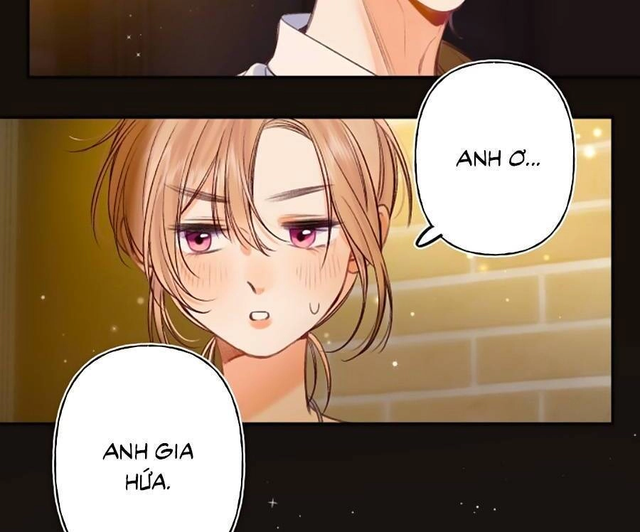 Vụng Trộm Giấu Không Được Chapter 48 - 4