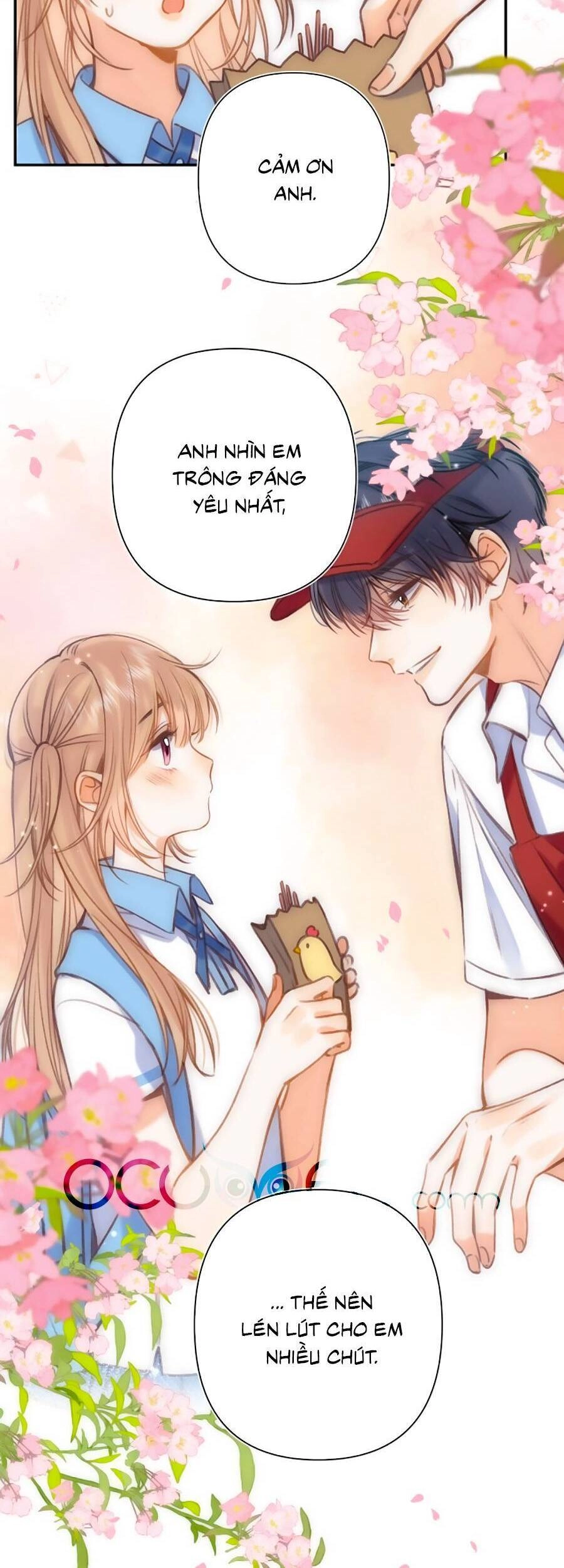 Vụng Trộm Giấu Không Được Chapter 50 - 24