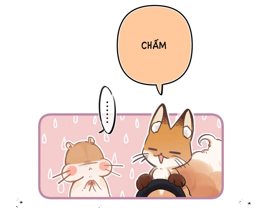 Vụng Trộm Giấu Không Được Chapter 75.1 - 10