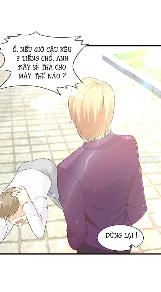 Thuần Phục Vị Tổng Tài Này Thật Khó Chapter 5 - 5