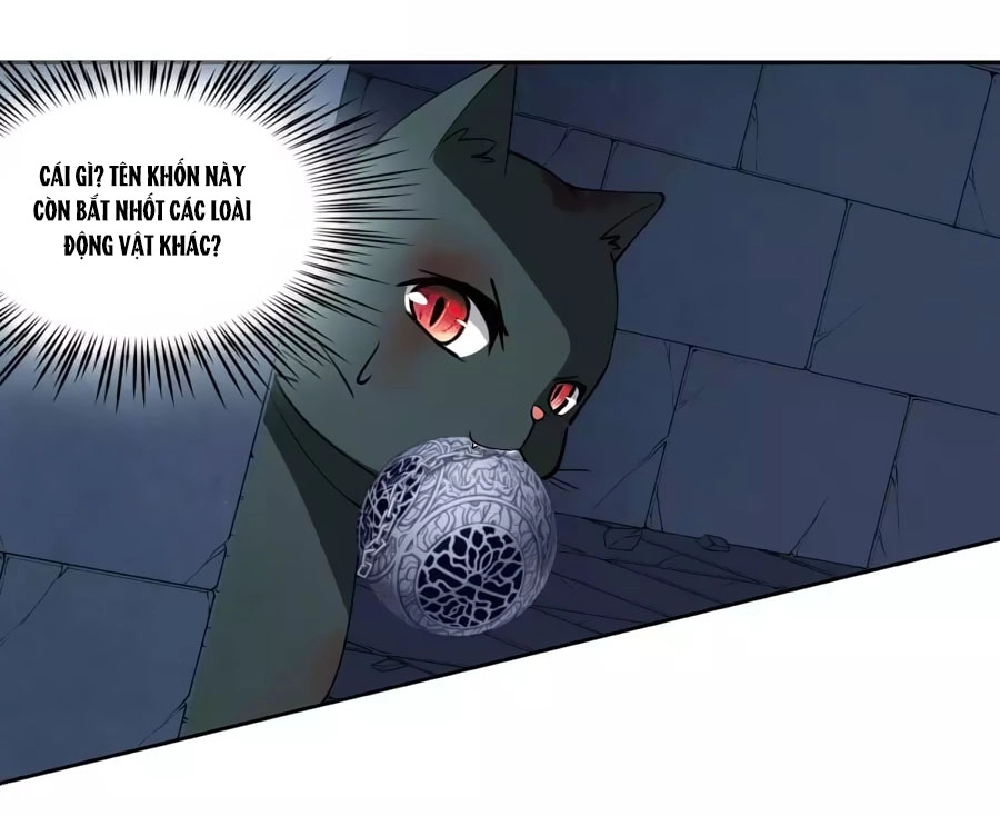 Huyền Vũ Luyến Ca: Vạn Vật Sinh Linh Chapter 20.2 - 6