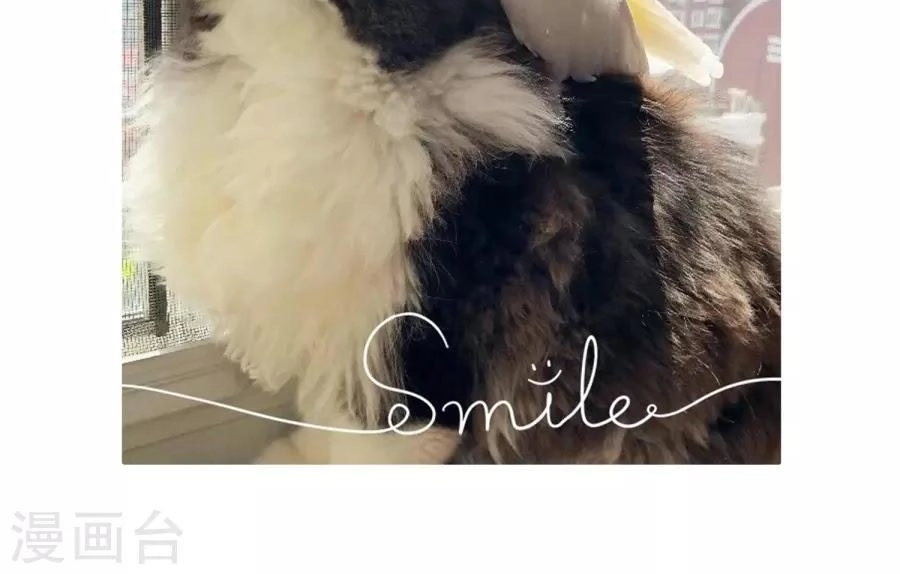 Huyền Vũ Luyến Ca: Vạn Vật Sinh Linh Chapter 32.2 - 44