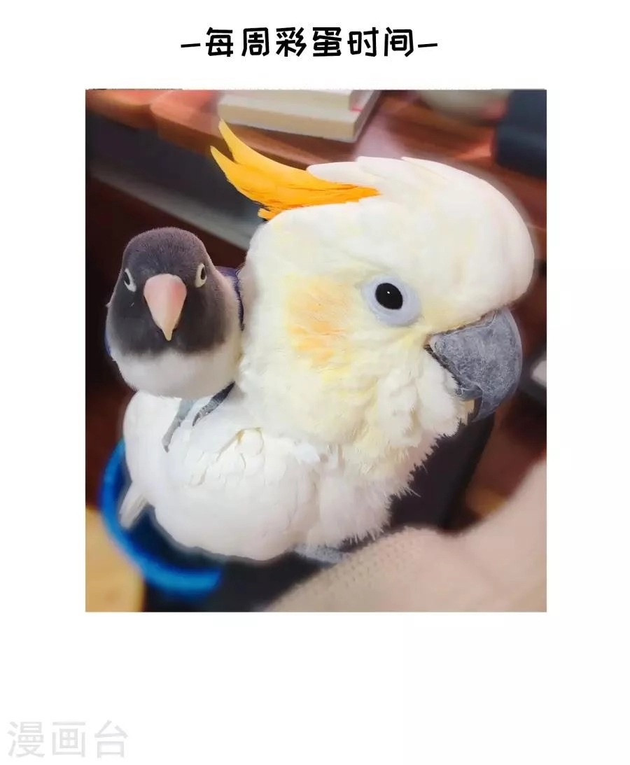 Huyền Vũ Luyến Ca: Vạn Vật Sinh Linh Chapter 33.1 - 46