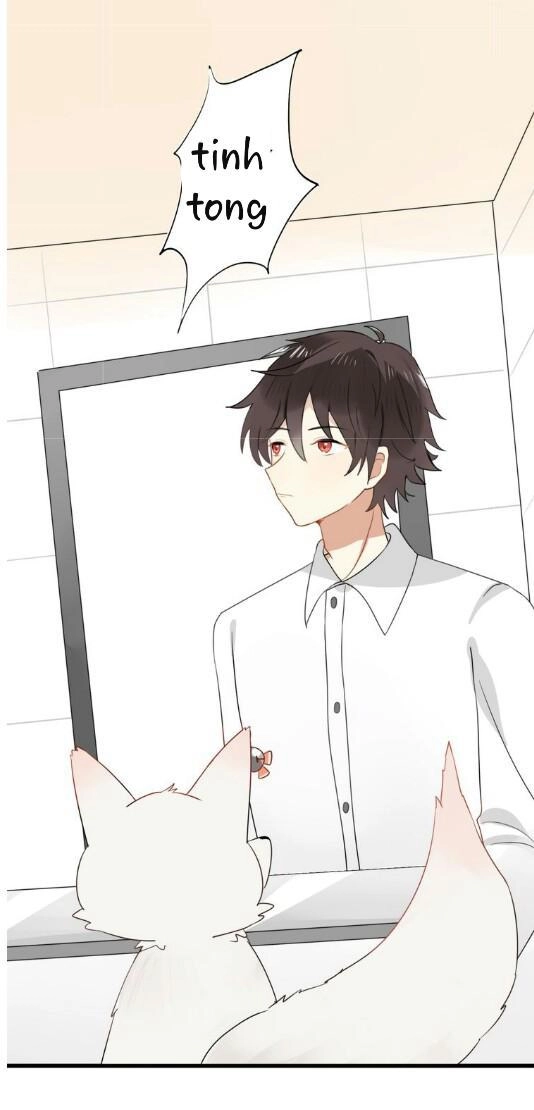 Thú Sủng Của Tôi Bị Mất Trí Rồi Chapter 4 - 18