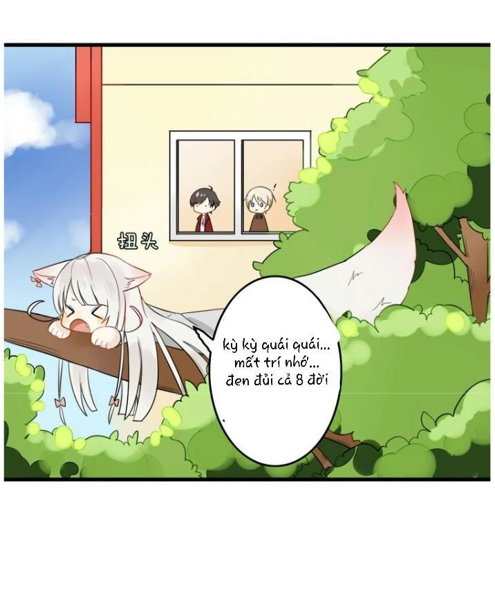 Thú Sủng Của Tôi Bị Mất Trí Rồi Chapter 5 - 13