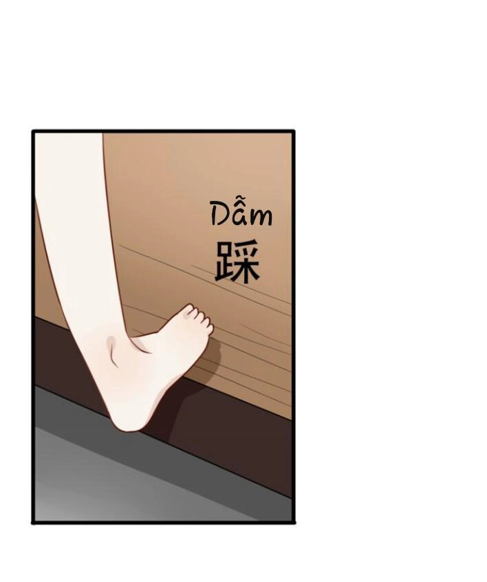 Thú Sủng Của Tôi Bị Mất Trí Rồi Chapter 6 - 12