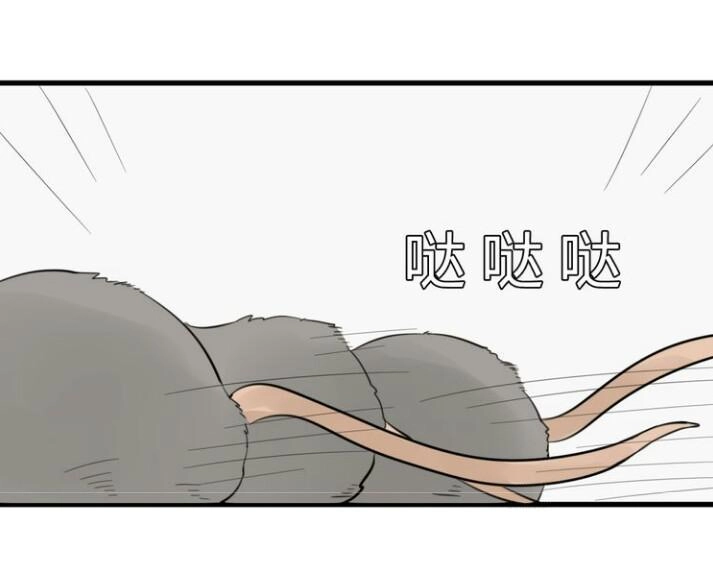 Thú Sủng Của Tôi Bị Mất Trí Rồi Chapter 9 - 3