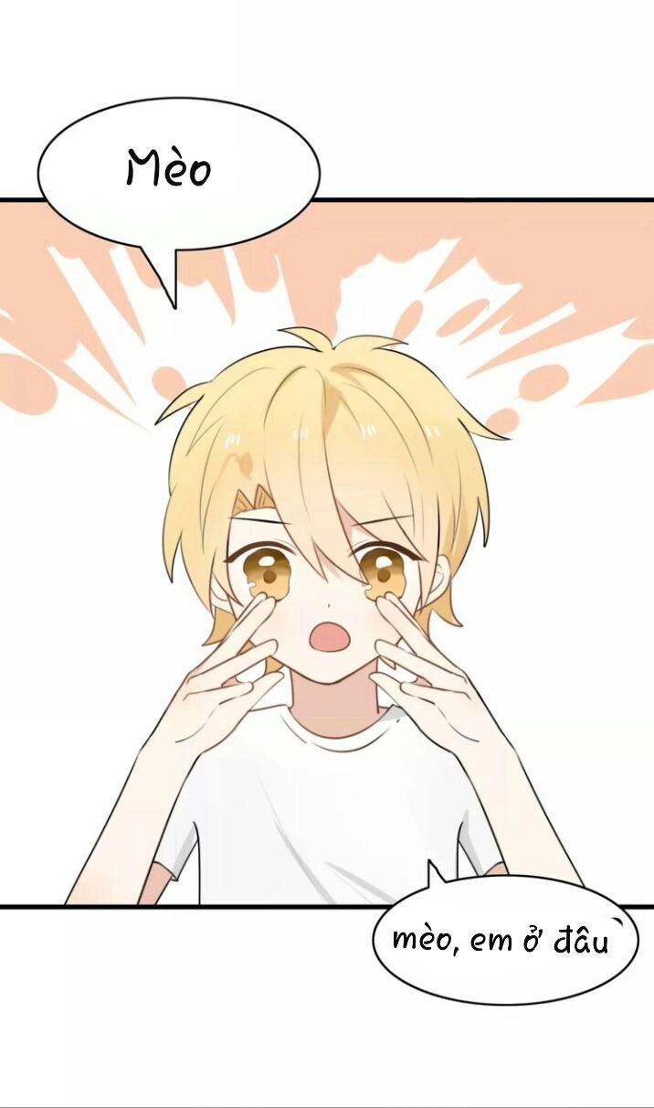 Thú Sủng Của Tôi Bị Mất Trí Rồi Chapter 16 - 4