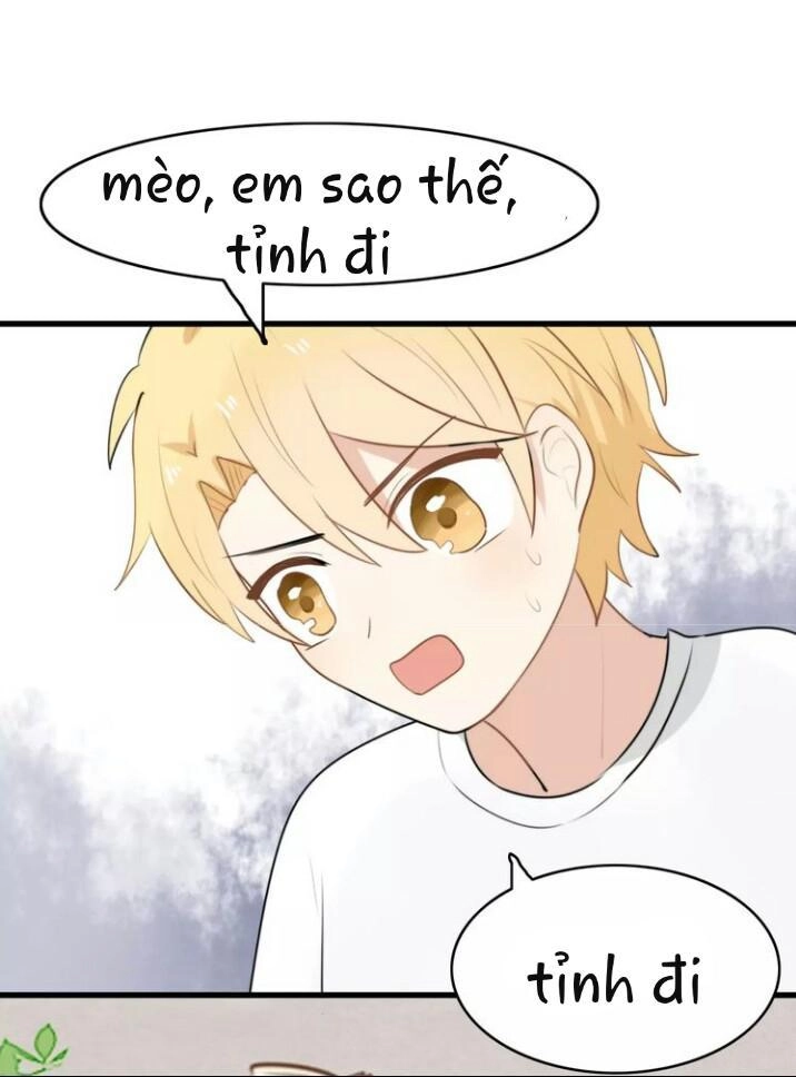 Thú Sủng Của Tôi Bị Mất Trí Rồi Chapter 16 - 7