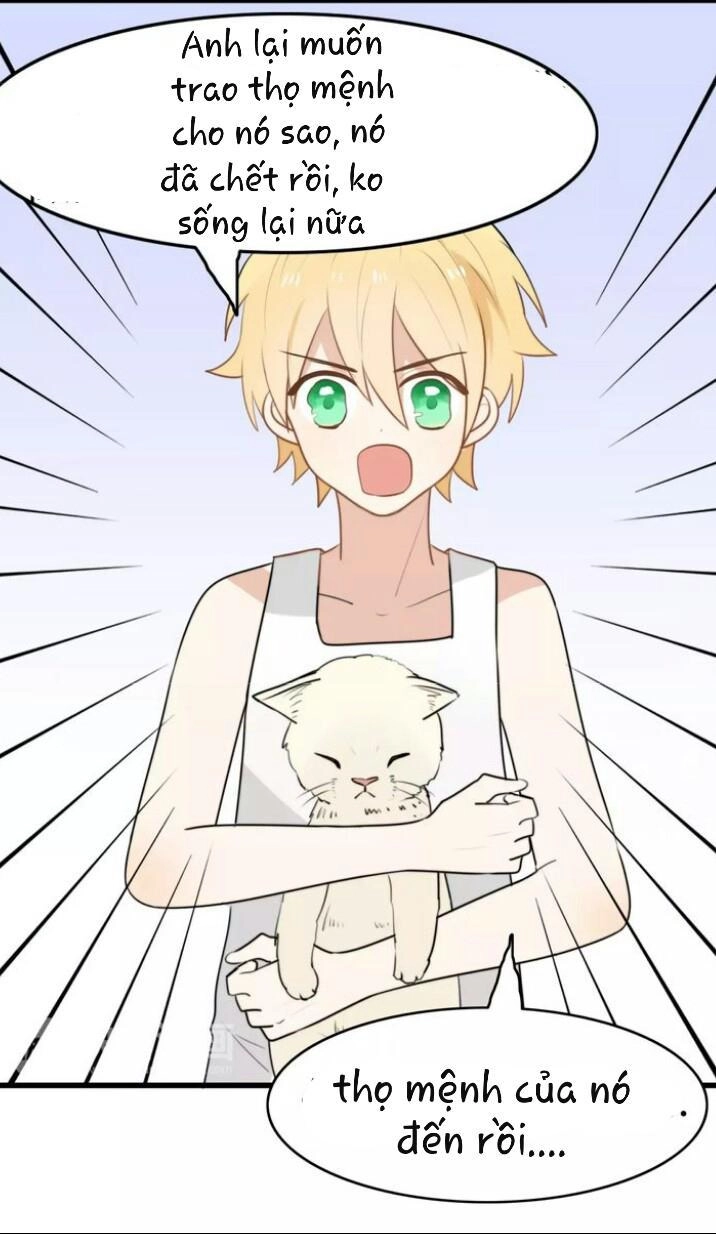 Thú Sủng Của Tôi Bị Mất Trí Rồi Chapter 16 - 12