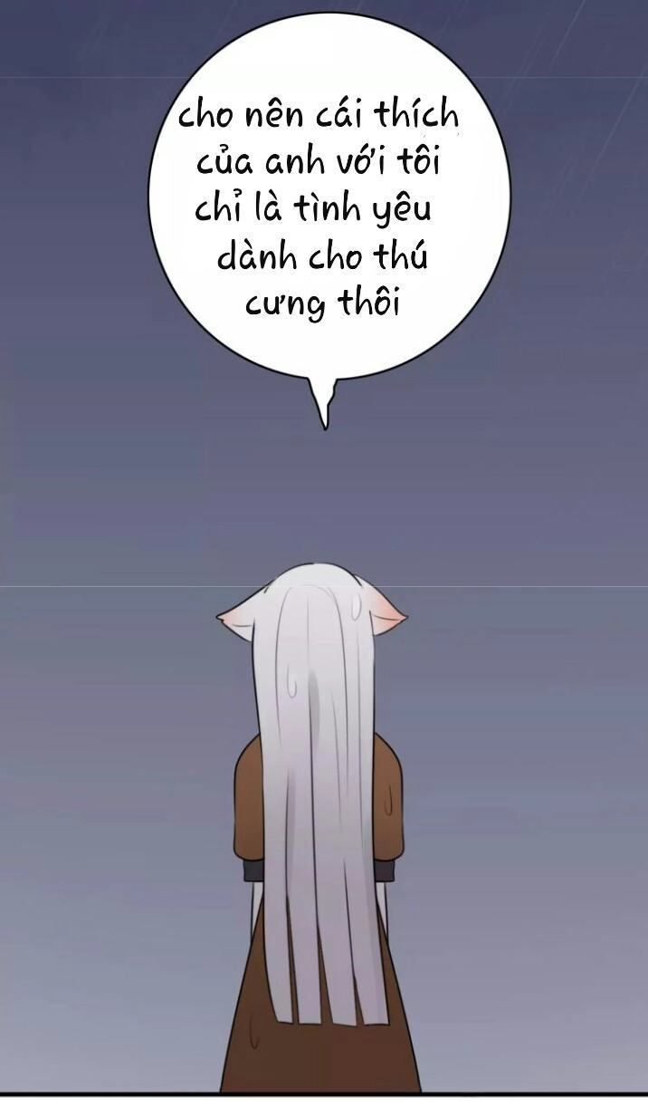 Thú Sủng Của Tôi Bị Mất Trí Rồi Chapter 22 - 29