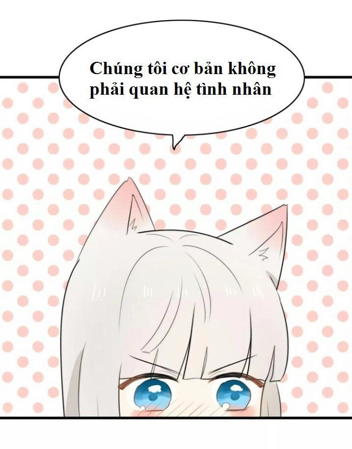 Thú Sủng Của Tôi Bị Mất Trí Rồi Chapter 24 - 28