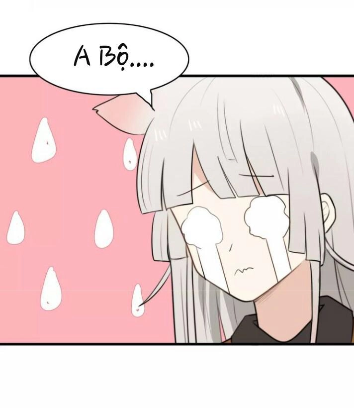 Thú Sủng Của Tôi Bị Mất Trí Rồi Chapter 26 - 41