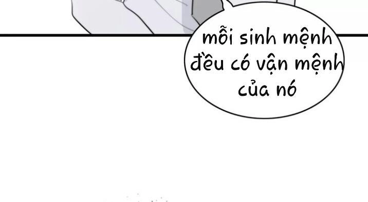 Thú Sủng Của Tôi Bị Mất Trí Rồi Chapter 27 - 22