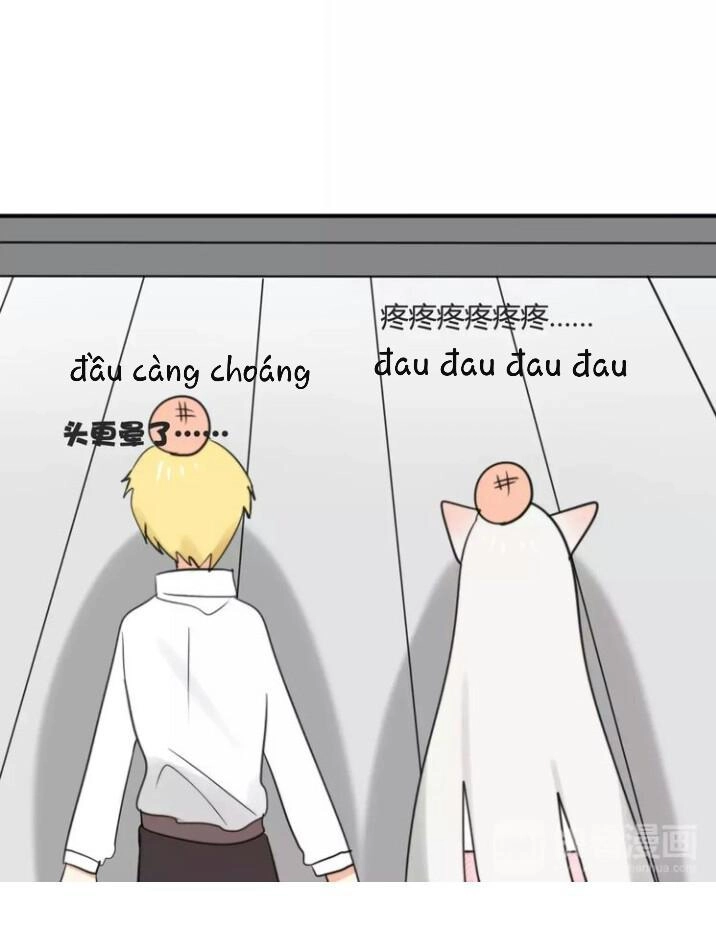 Thú Sủng Của Tôi Bị Mất Trí Rồi Chapter 42 - 17