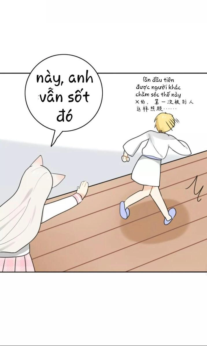 Thú Sủng Của Tôi Bị Mất Trí Rồi Chapter 43 - 33