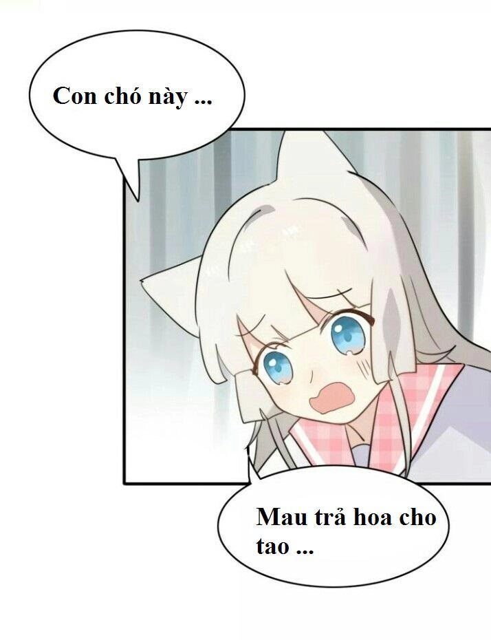 Thú Sủng Của Tôi Bị Mất Trí Rồi Chapter 44 - 25