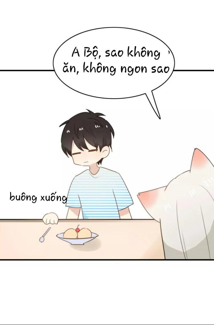 Thú Sủng Của Tôi Bị Mất Trí Rồi Chapter 52 - 4