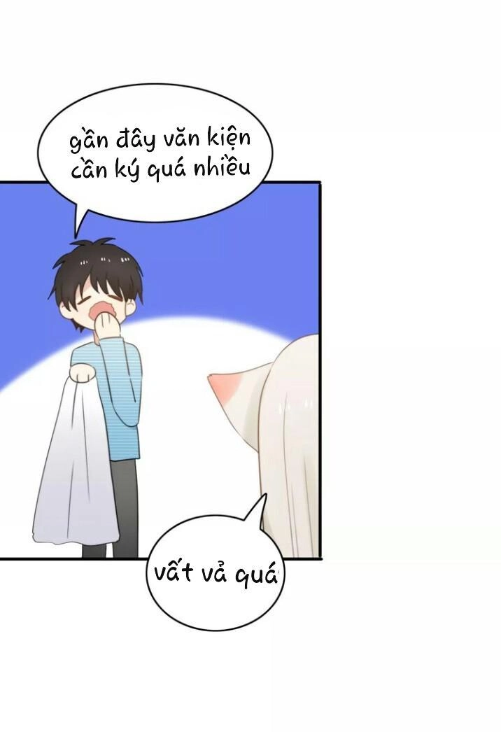 Thú Sủng Của Tôi Bị Mất Trí Rồi Chapter 52 - 11