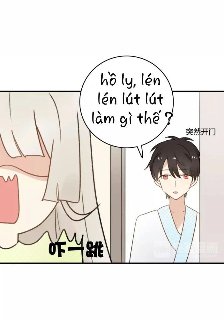 Thú Sủng Của Tôi Bị Mất Trí Rồi Chapter 52 - 17