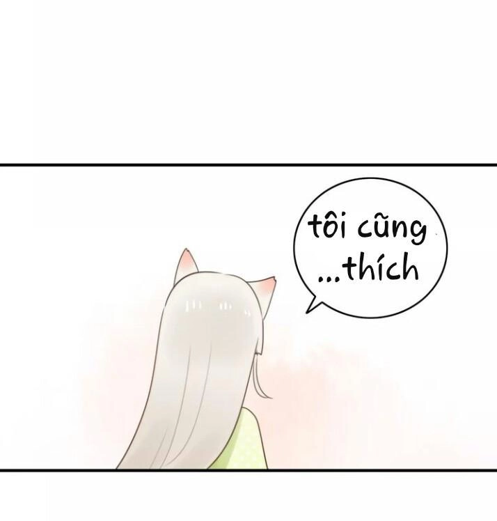 Thú Sủng Của Tôi Bị Mất Trí Rồi Chapter 52 - 23