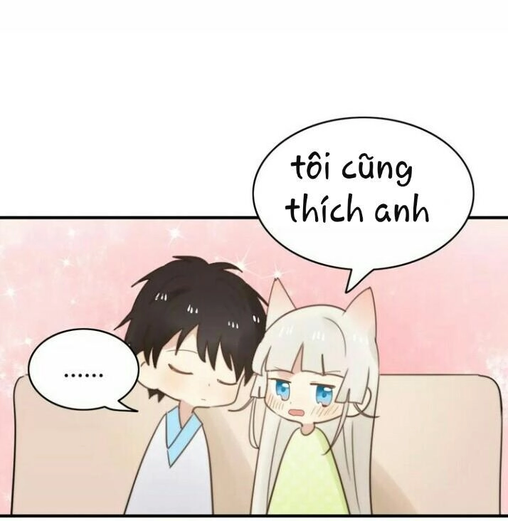 Thú Sủng Của Tôi Bị Mất Trí Rồi Chapter 52 - 37