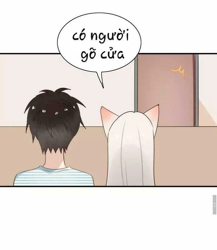 Thú Sủng Của Tôi Bị Mất Trí Rồi Chapter 53 - 27