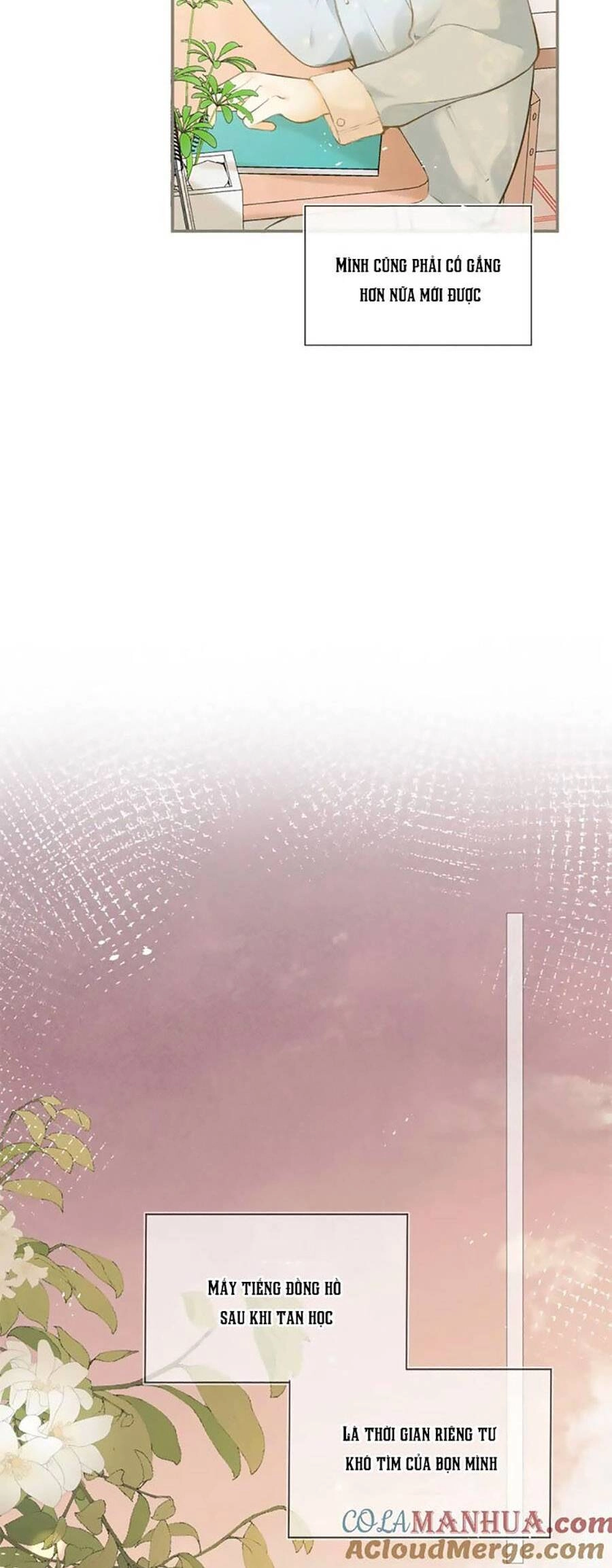 Tình Yêu Duy Nhất Của Tôi Chapter 50 - 19