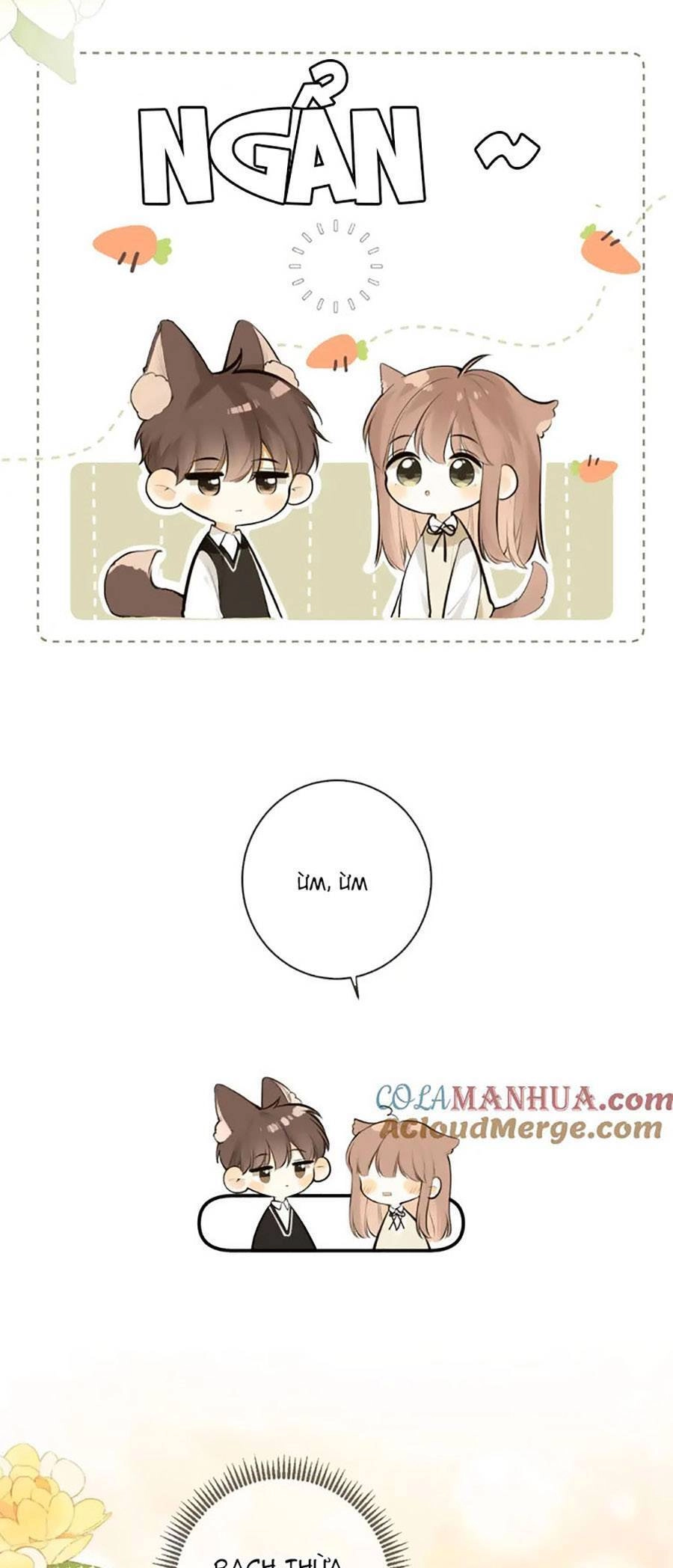 Tình Yêu Duy Nhất Của Tôi Chapter 50 - 30