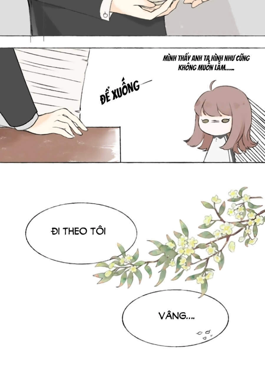 Tình Yêu Duy Nhất Của Tôi Chapter 1 - 10