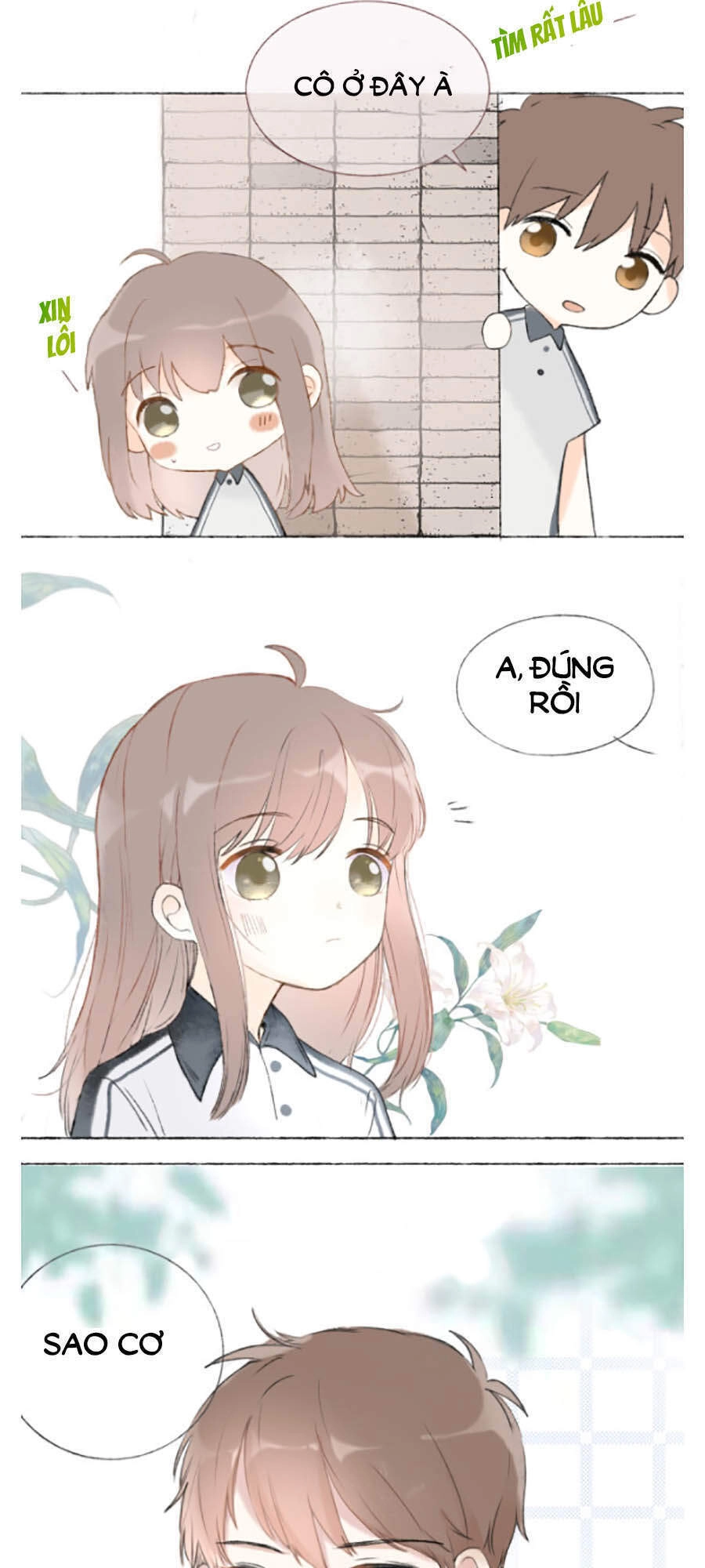 Tình Yêu Duy Nhất Của Tôi Chapter 4 - 4