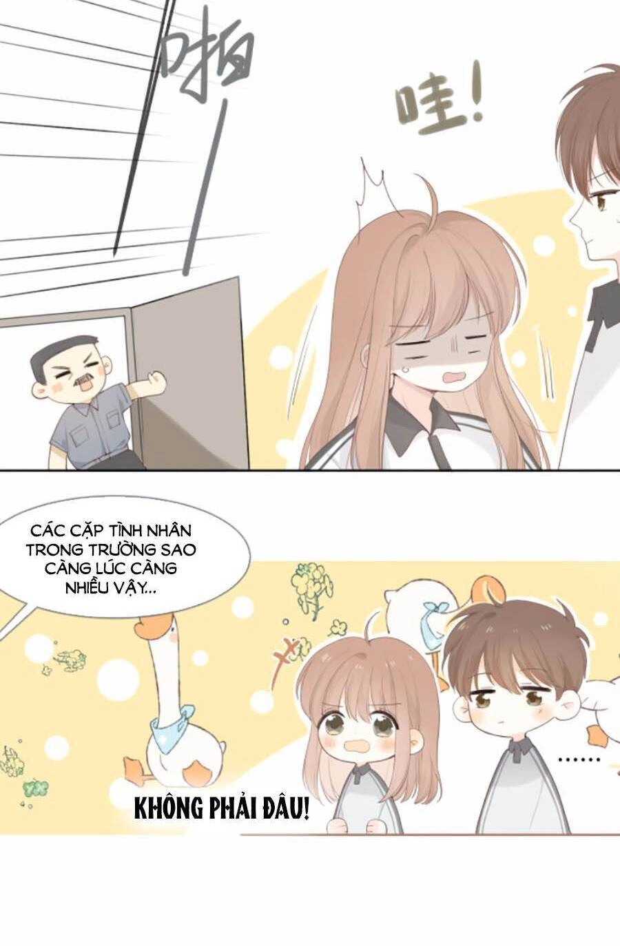 Tình Yêu Duy Nhất Của Tôi Chapter 15 - 14