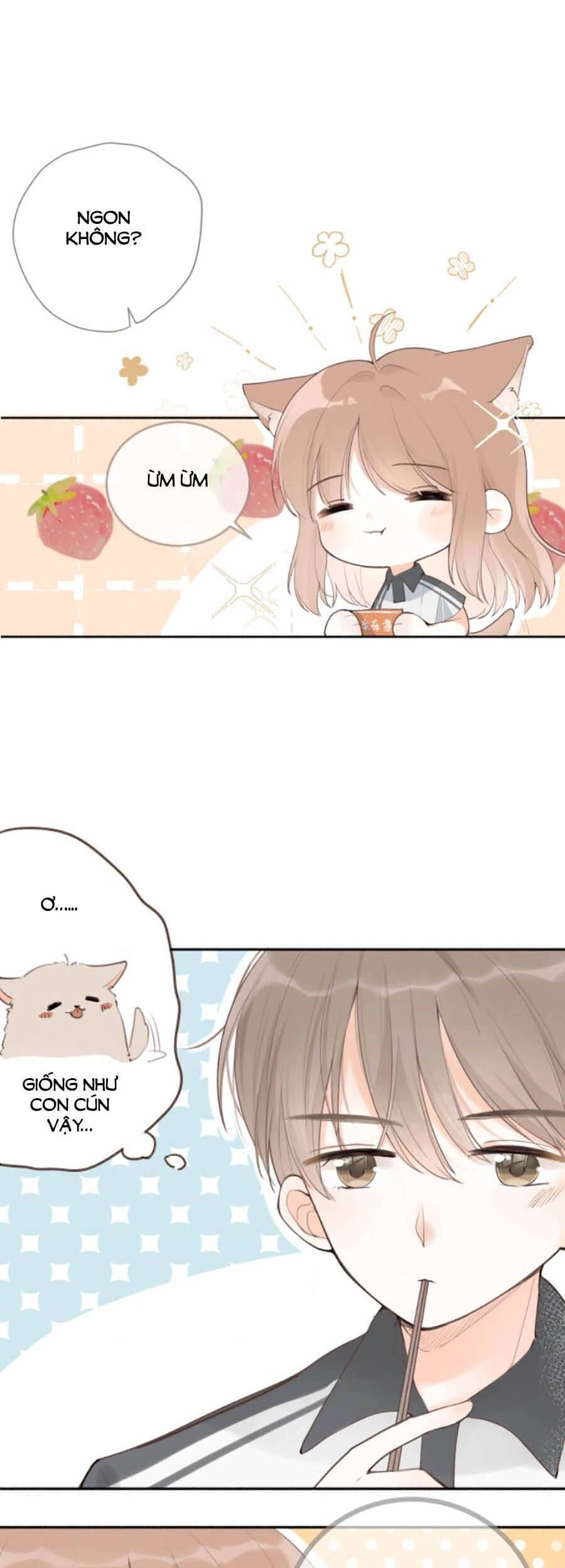 Tình Yêu Duy Nhất Của Tôi Chapter 16 - 3