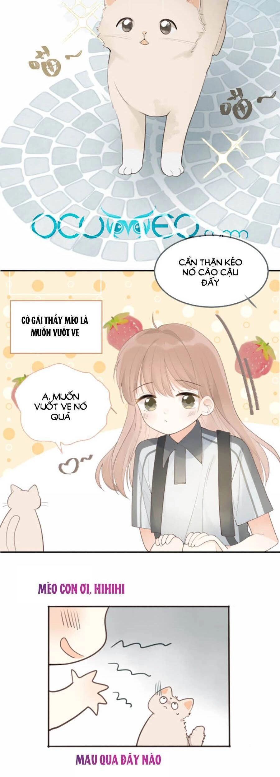 Tình Yêu Duy Nhất Của Tôi Chapter 16 - 11