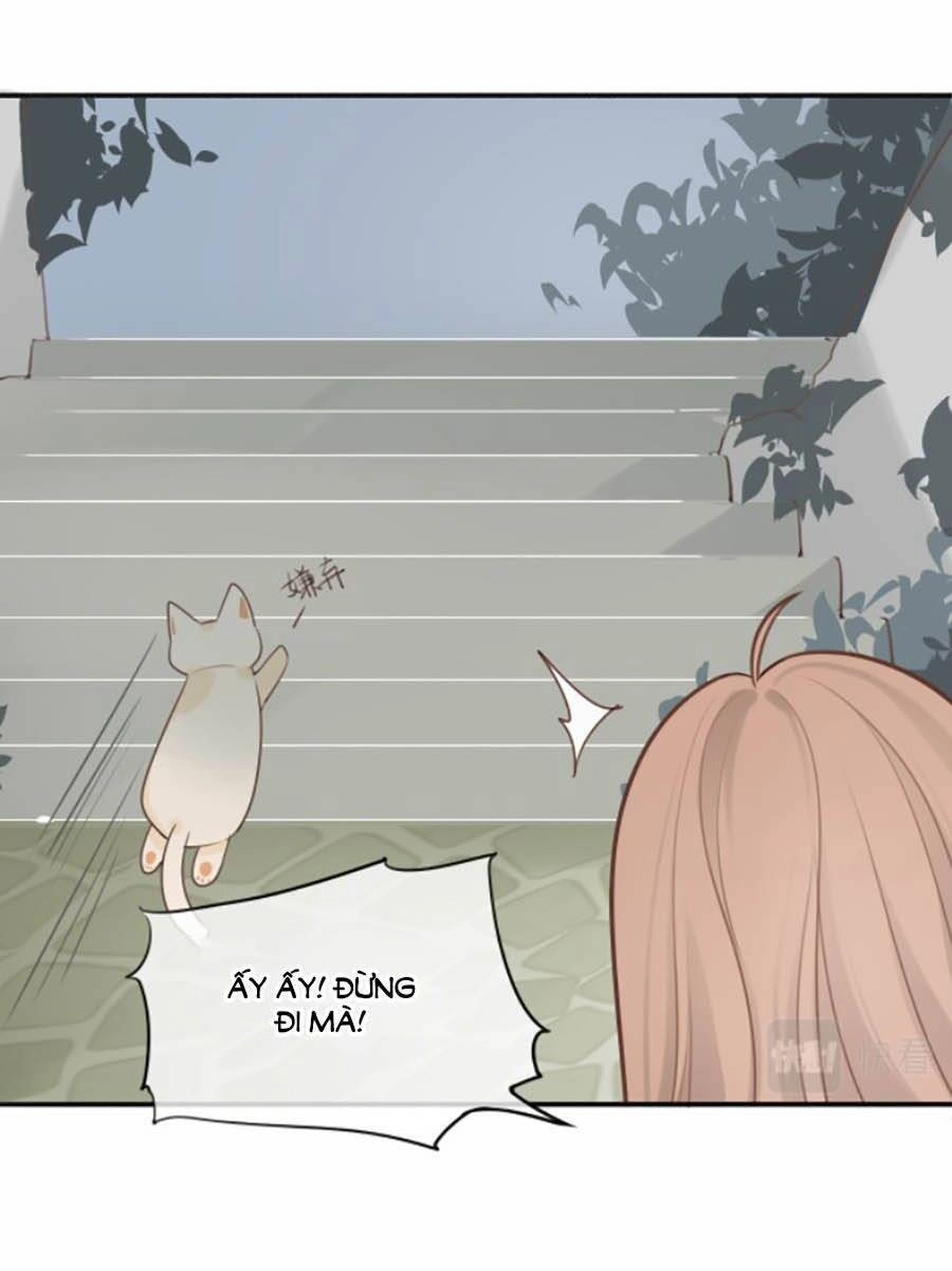 Tình Yêu Duy Nhất Của Tôi Chapter 16 - 12