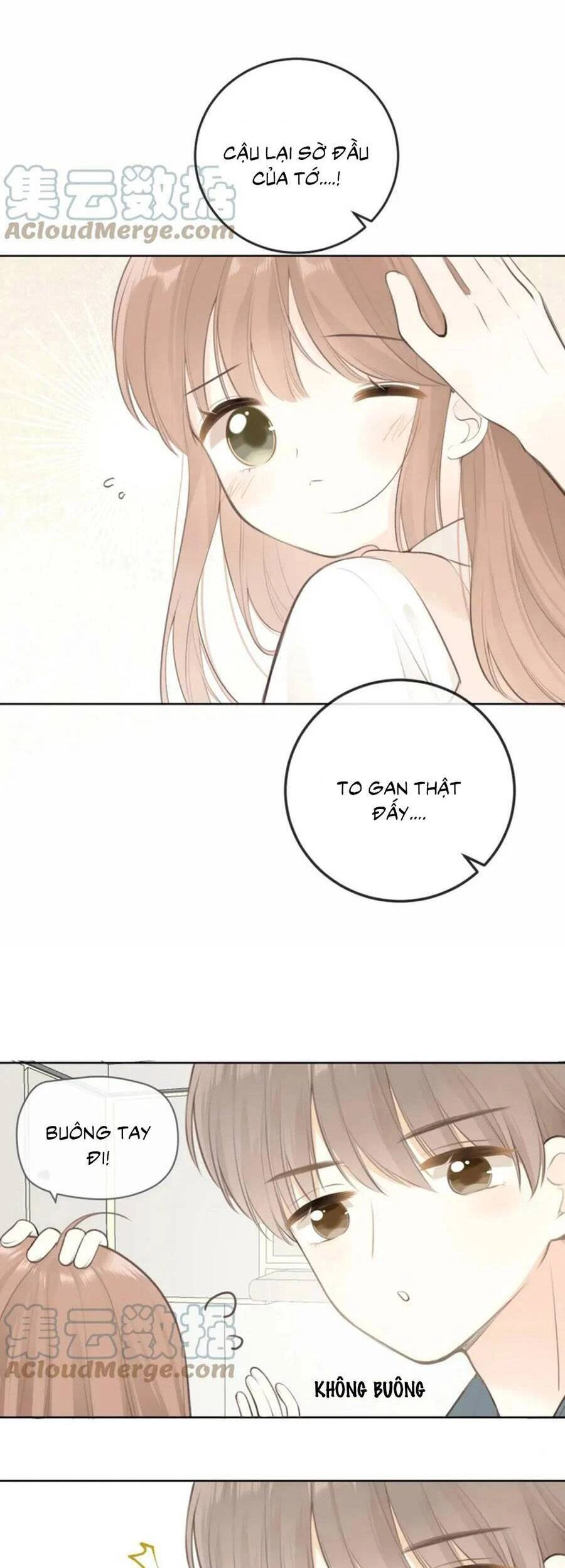 Tình Yêu Duy Nhất Của Tôi Chapter 29 - 22