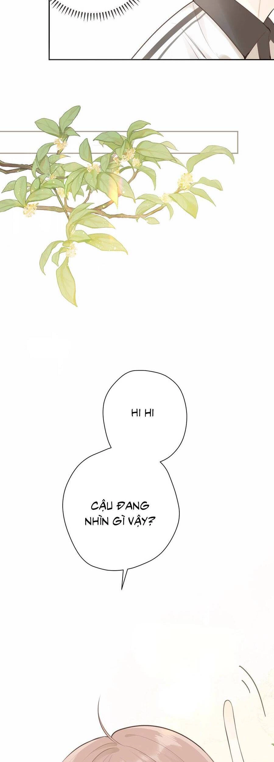 Tình Yêu Duy Nhất Của Tôi Chapter 31 - 24