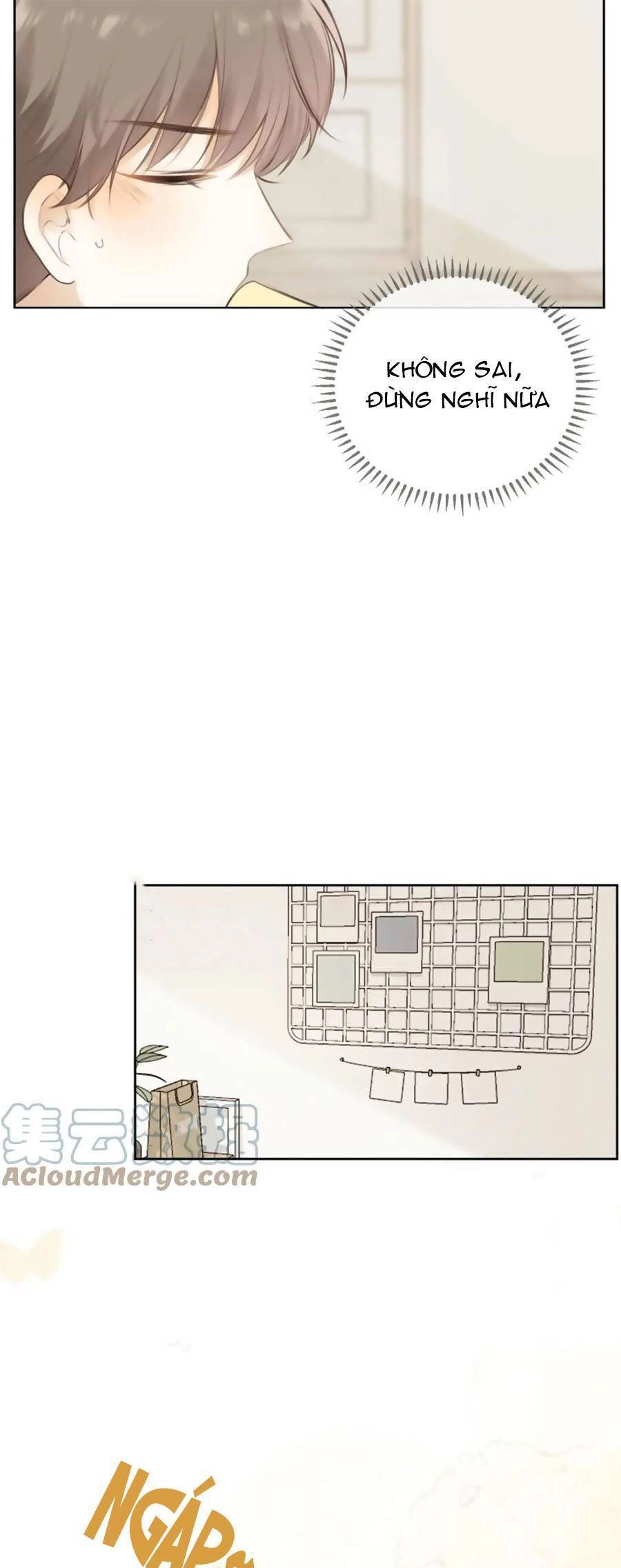 Tình Yêu Duy Nhất Của Tôi Chapter 40 - 10