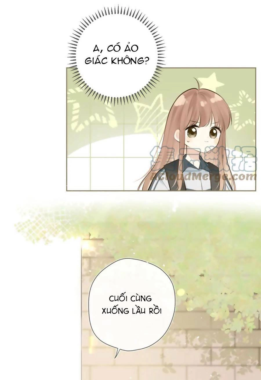 Tình Yêu Duy Nhất Của Tôi Chapter 41 - 10