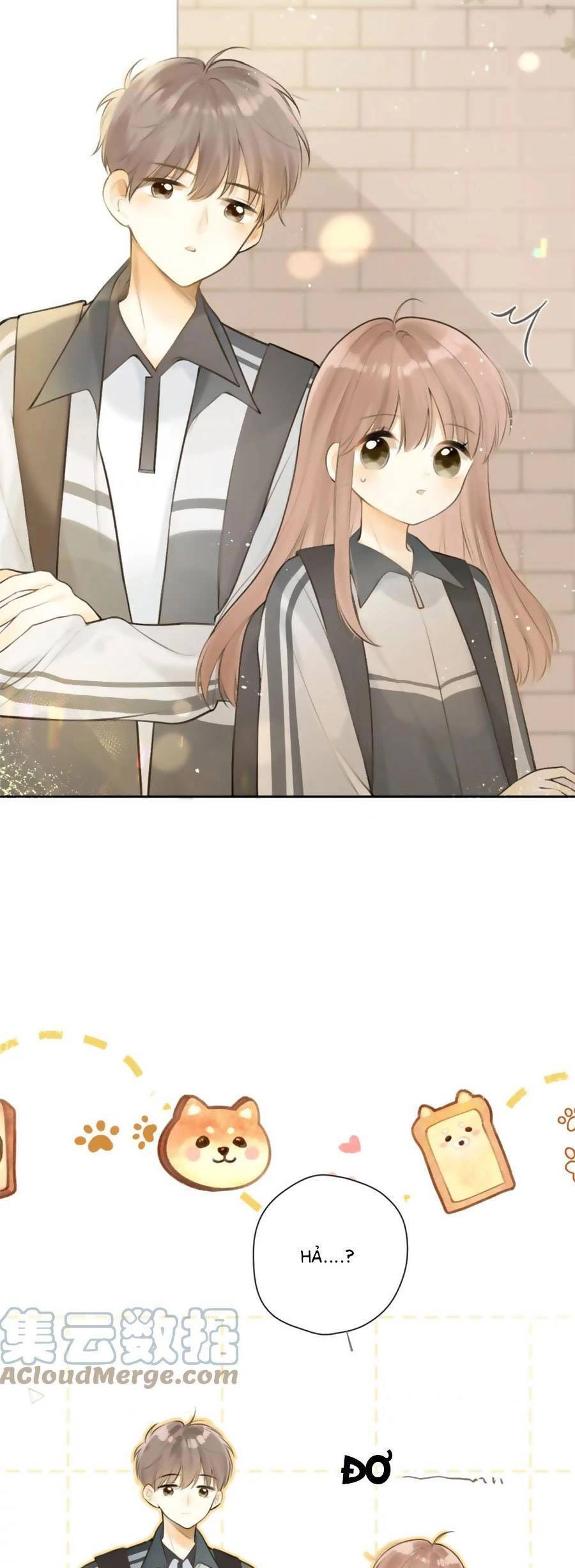 Tình Yêu Duy Nhất Của Tôi Chapter 41 - 11