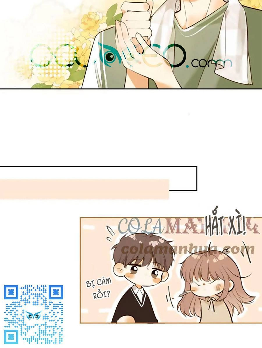 Tình Yêu Duy Nhất Của Tôi Chapter 45 - 23