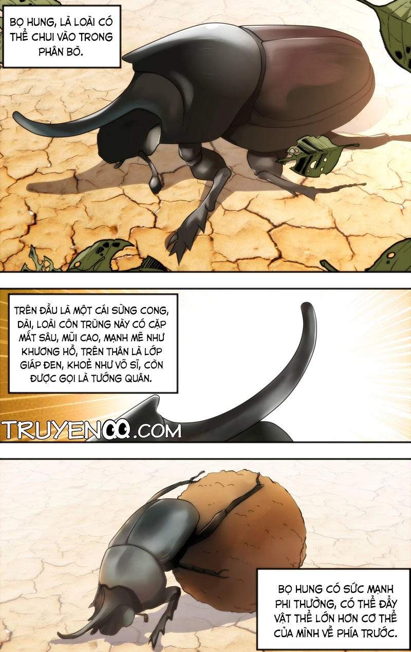 Trùng Sinh Chapter 11 - 15