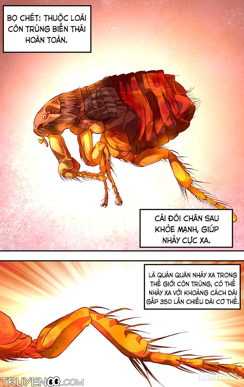 Trùng Sinh Chapter 14 - 6
