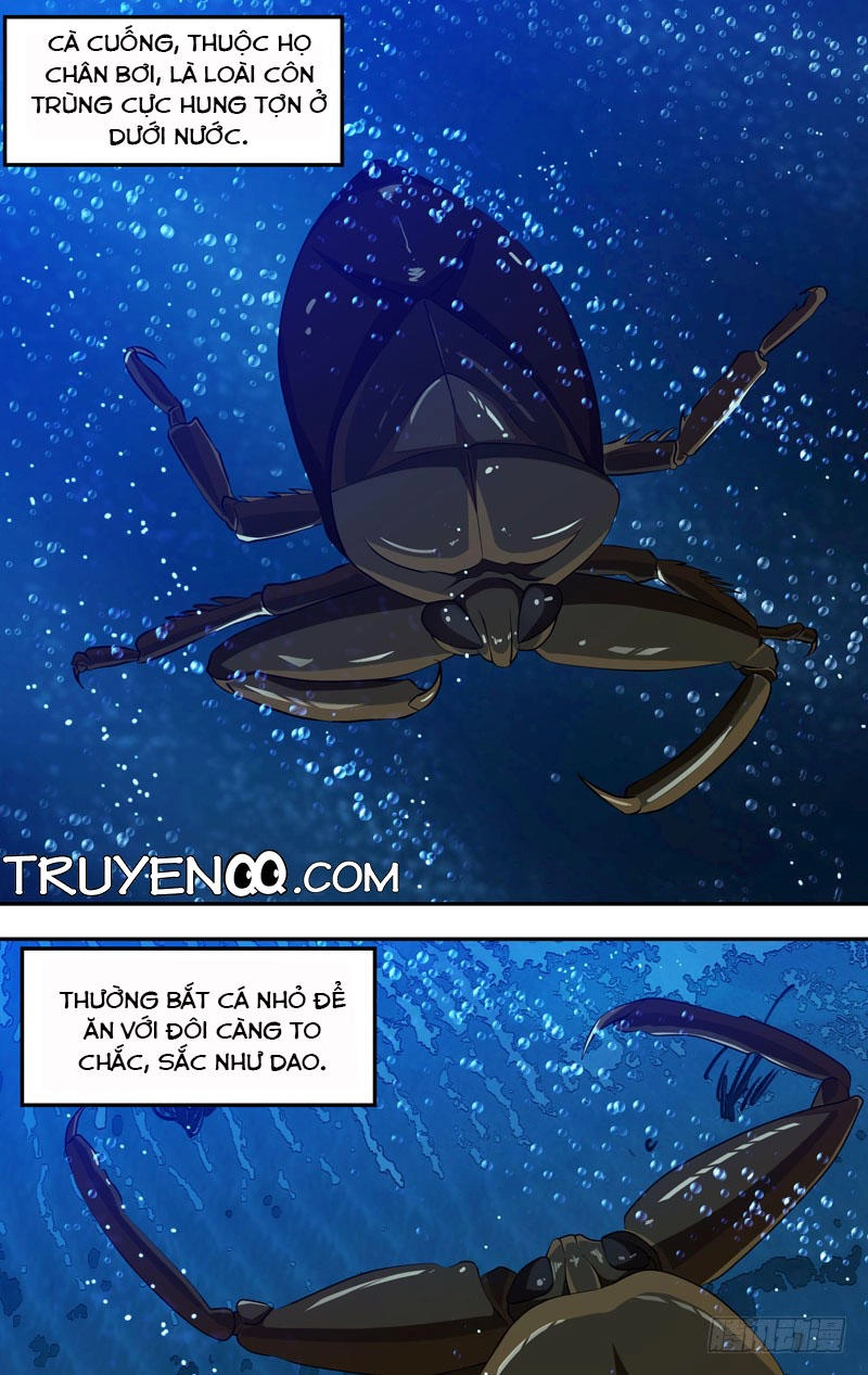 Trùng Sinh Chapter 20 - 11