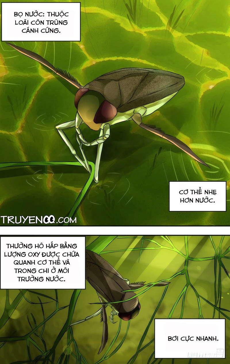 Trùng Sinh Chapter 20 - 16