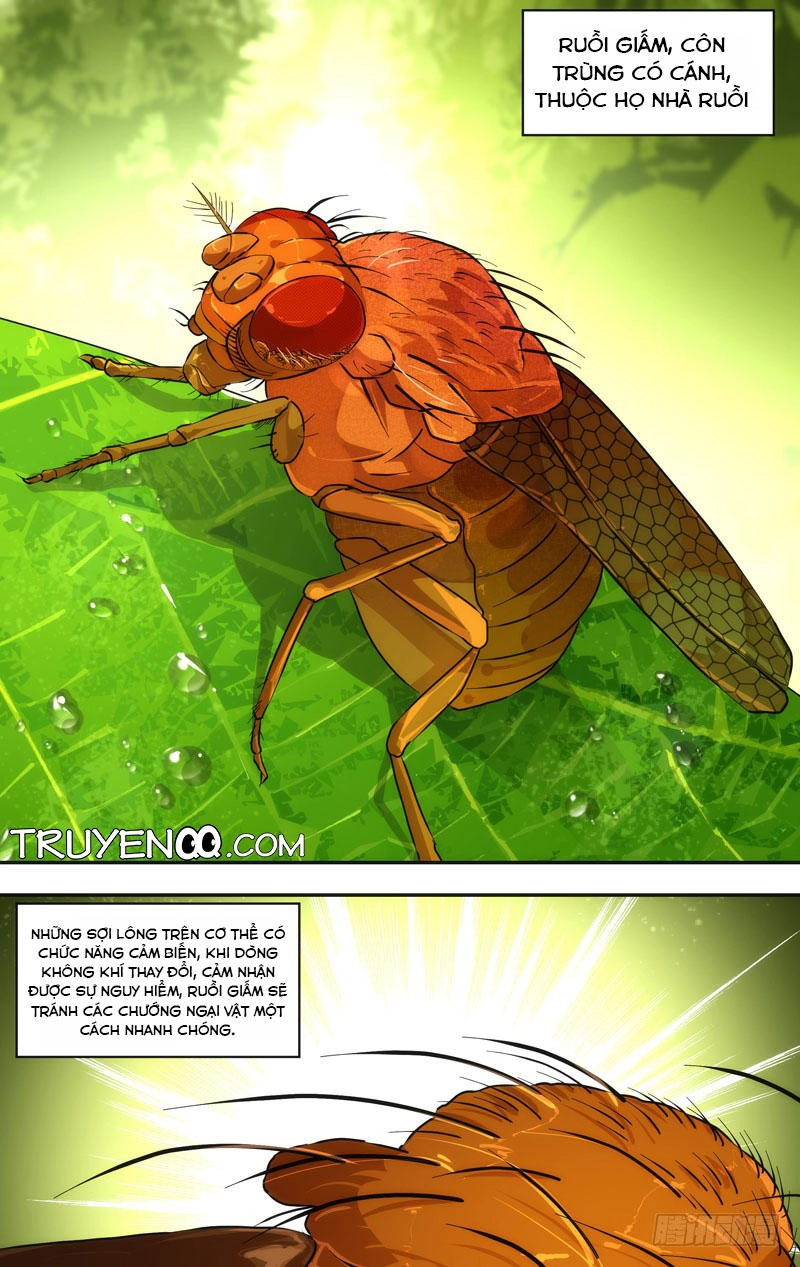 Trùng Sinh Chapter 28 - 25