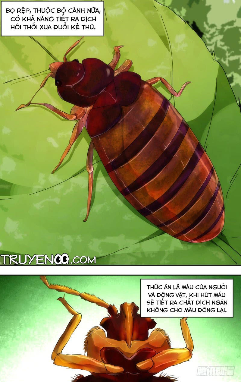 Trùng Sinh Chapter 30 - 11