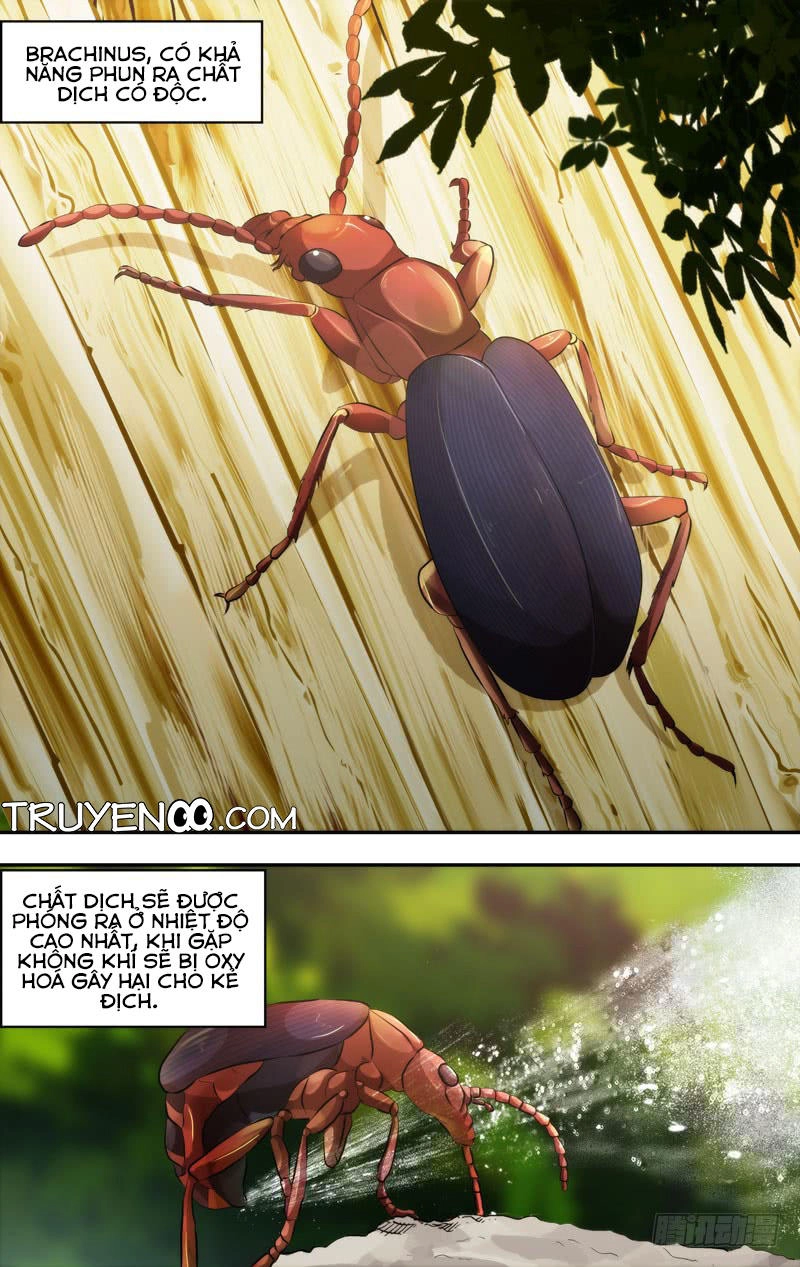 Trùng Sinh Chapter 33 - 2