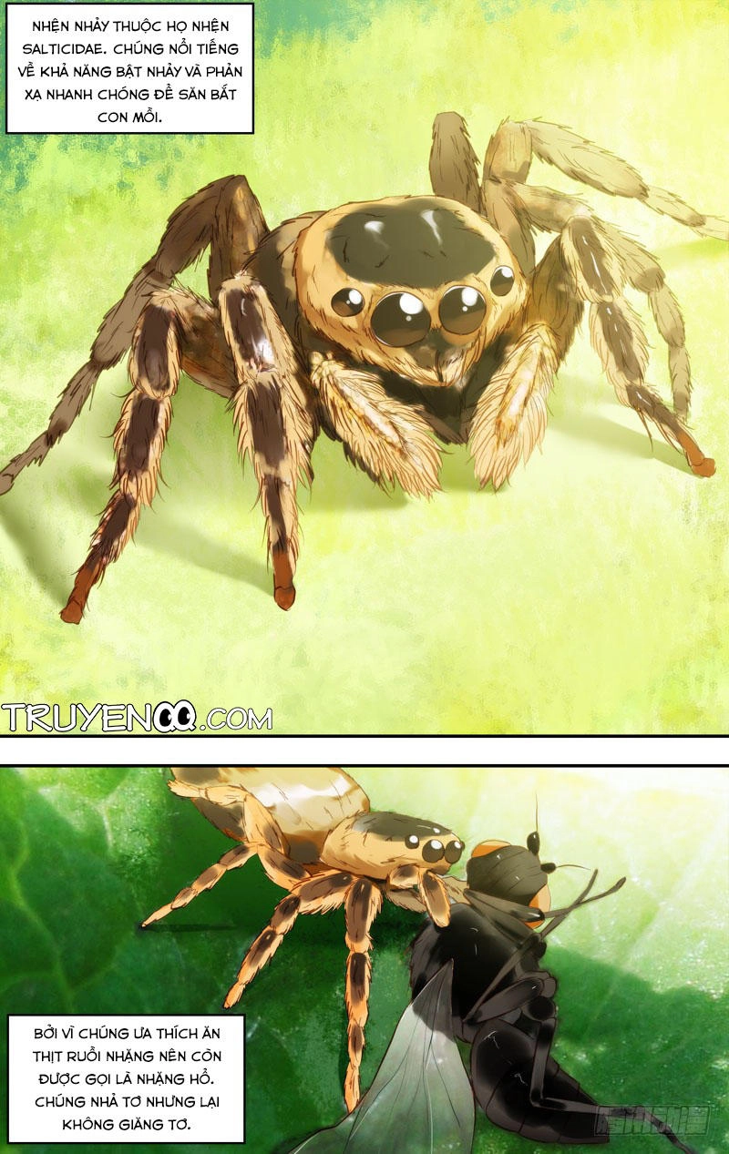 Trùng Sinh Chapter 42 - 2