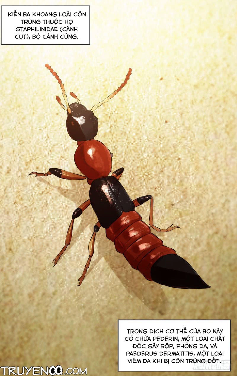 Trùng Sinh Chapter 42 - 16